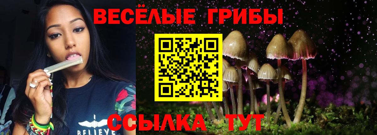 Зеленокумск  Галлюциногенные грибы Magic Shrooms  Псилоцибиновые грибы GOLDEN TEACHER  Вход с VPN 