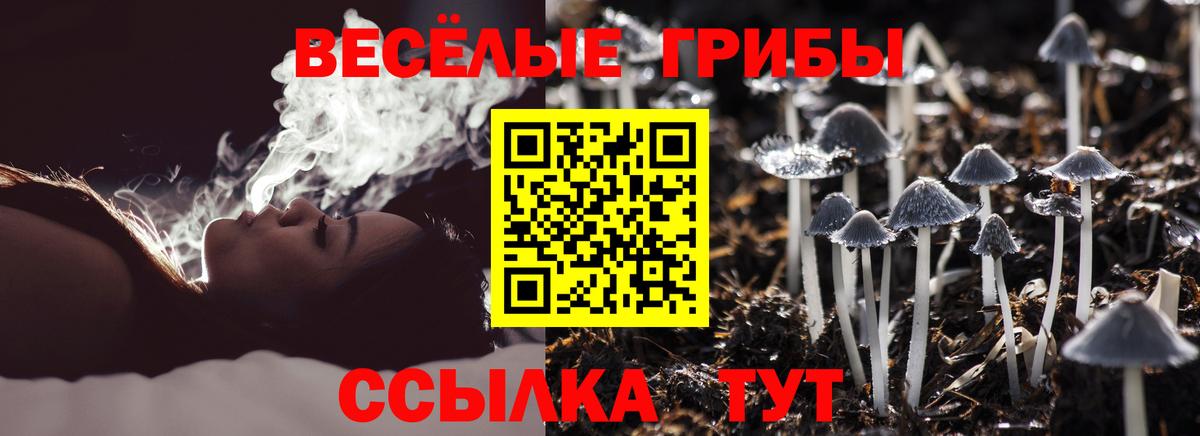 Галлюциногенные грибы Psilocybine cubensis Зеленокумск